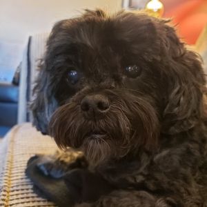 Meet your Posher, Tracey